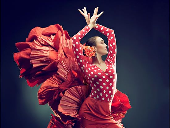 My Flamenco Evening